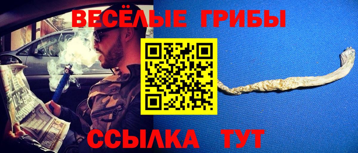 купить закладку  Галлюциногенные грибы мухоморы  Вход с VPN  Большой Камень  Галлюциногенные грибы Psilocybine cubensis 